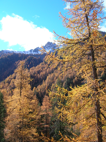 Scorci d''autunno